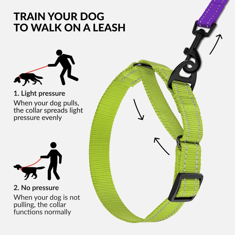 Collardirect Reflective Martingale Dog Collar Nylon Training Collars for Small Medium Large Dogs Puppy Pink Orange Green (M, Neck Size 13"-18", Lime Green) - Image 2